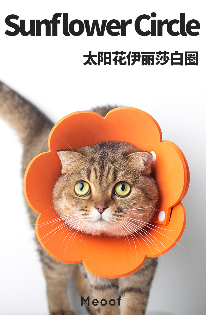 meoof太阳花伊丽莎白圈eva海绵轻薄头套猫咪脖圈防舔耻辱圈绝育用