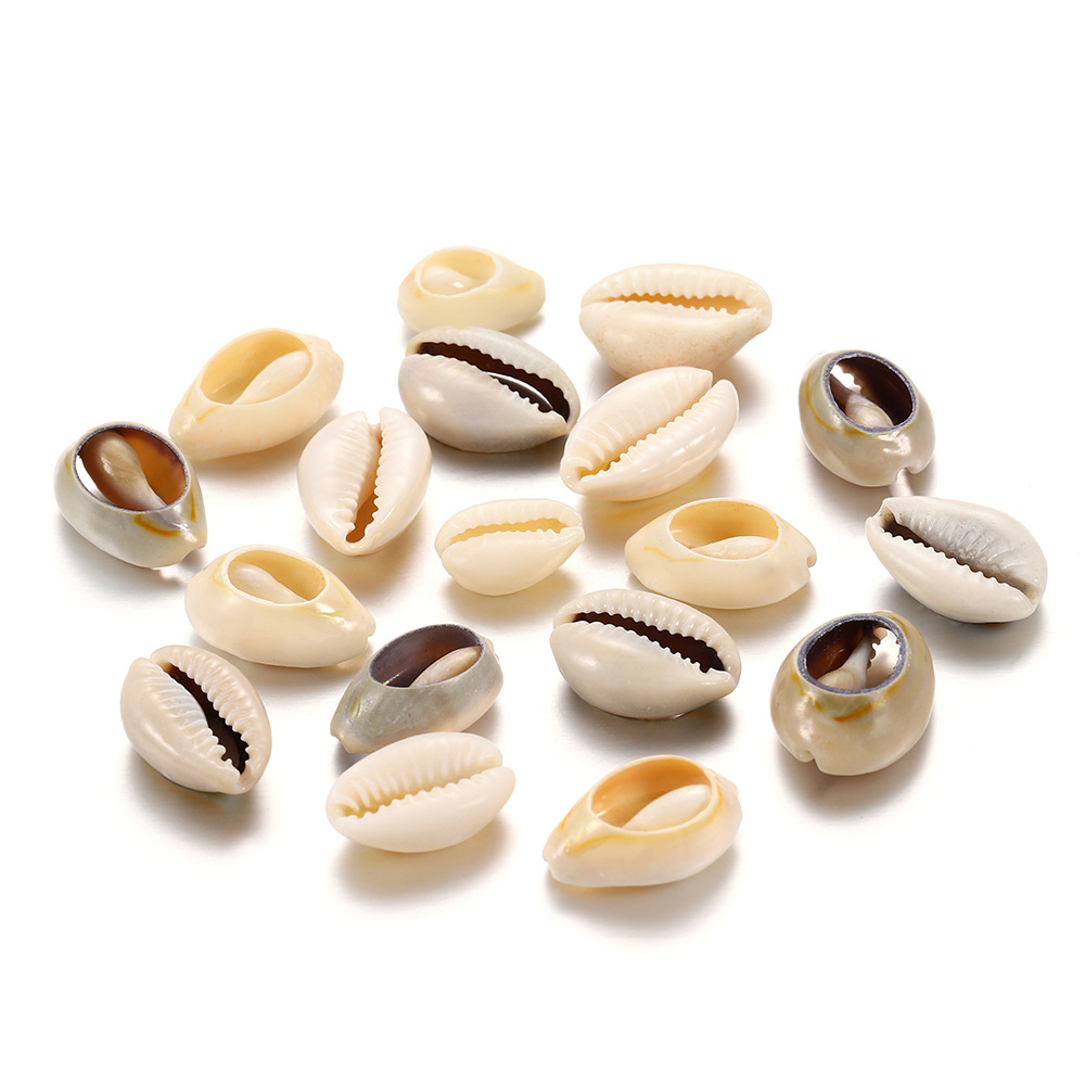 天然新款黄金小贝片diy贝壳海黄螺金边贝钱币diy饰品手链贝壳配件