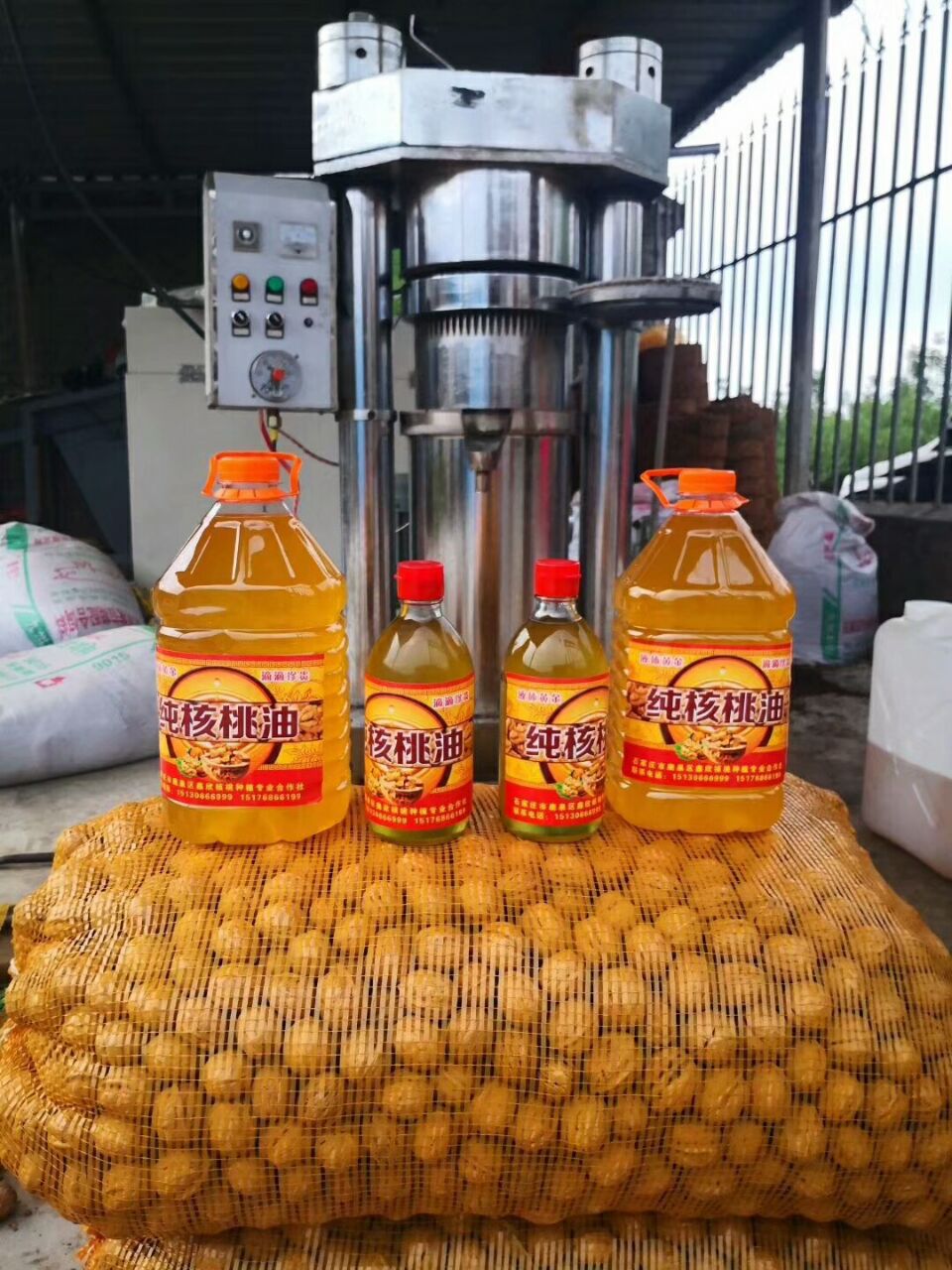 小型液压芝麻香油机商用多功能冷热两用榨油机机电一体生榨机