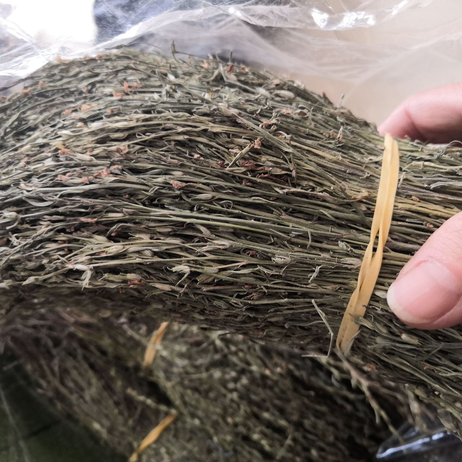 批发独脚金独脚柑甘草矮脚子疳积草新货无硫颜色好