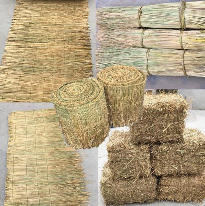 细草绳稻草垫子稻草绳子草编禾草防冻室内外编织干稻草垛挂毯道具