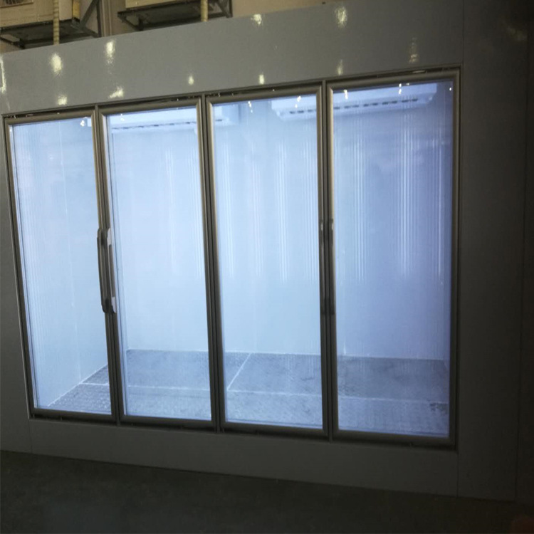 工厂直销玻璃门冷库 展示柜freezing room冷藏巧克力啤酒柜