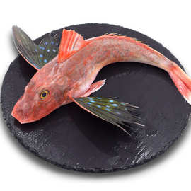 深海鱼钓-深海鱼钓批发,促销价格,产地货源 - 阿里巴巴