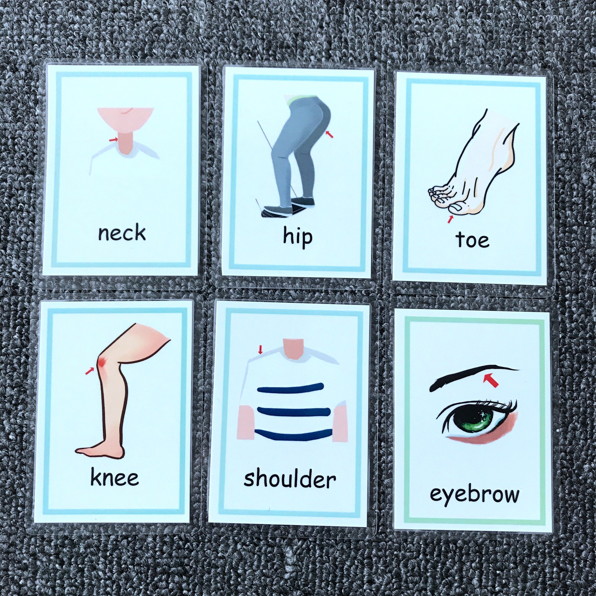 2款塑封防水身体部位英语主题学习闪卡片bodypartsflashcards