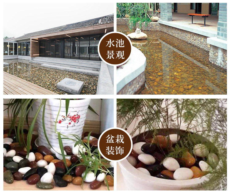 黄色抛光鹅卵石 园林景观工程铺路雨花石头 水池垫底鱼缸造景石子