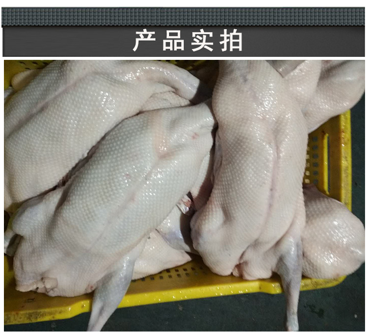 广东清远黑棕鹅整只酒店饭店新鲜光鹅港式茶餐厅烧鹅原材料乌棕鹅