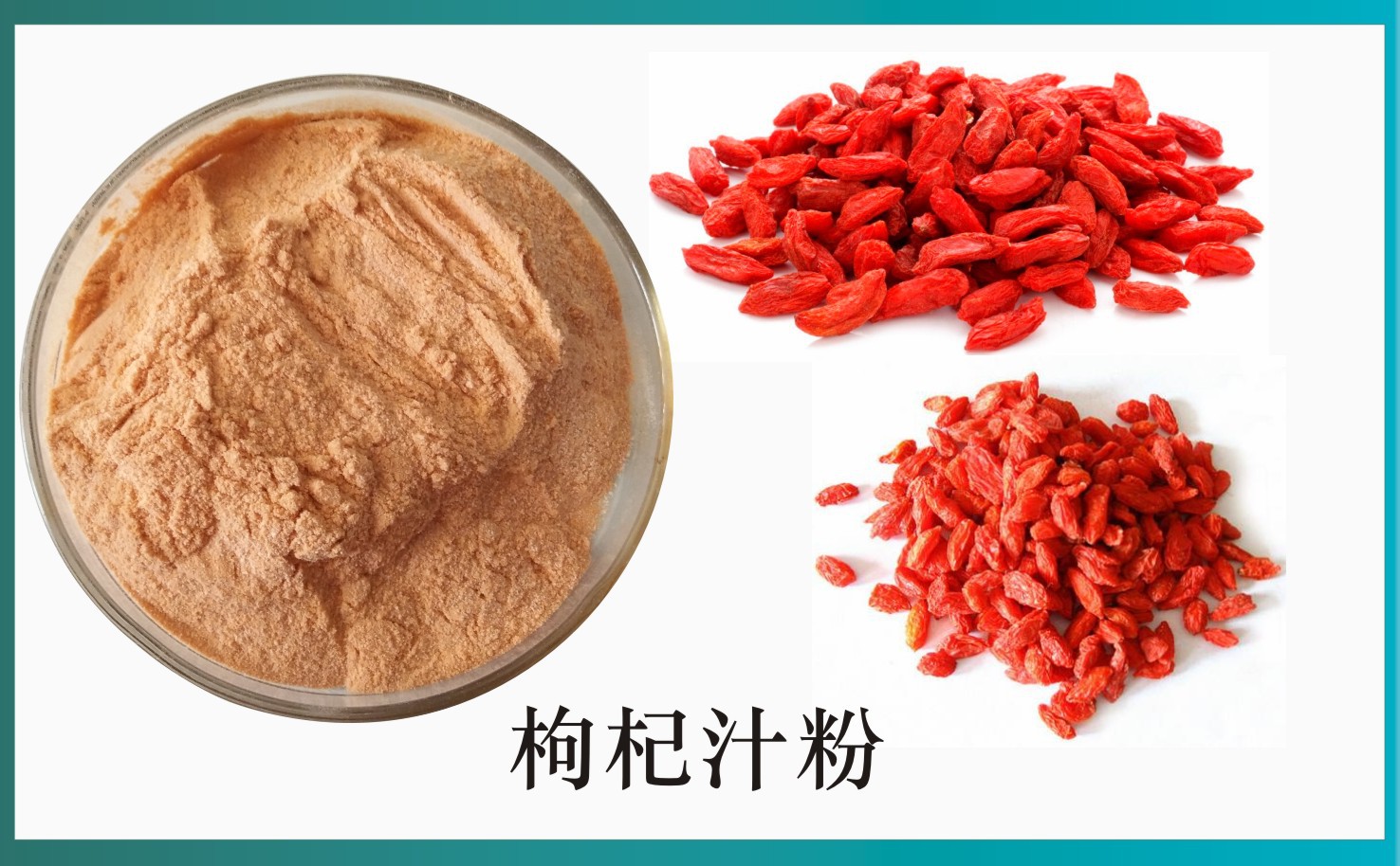 枸杞汁粉98% 枸杞果汁粉 现货包邮 枸杞提取物 枸杞子