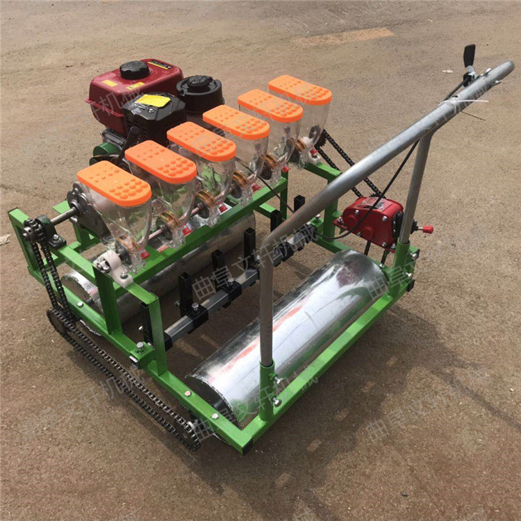 汽油四行六行播种机厂家 蔬菜育苗机 小型多行种子精播机