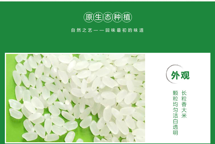 东北大米 2020年新大米辽宁开原大米生态香长粒香粥米袋装5kg10斤