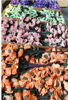 【城岸C0063】欧式花芯牡丹 PE泡沫仿真花假花绢花塑料花工厂批发|ru