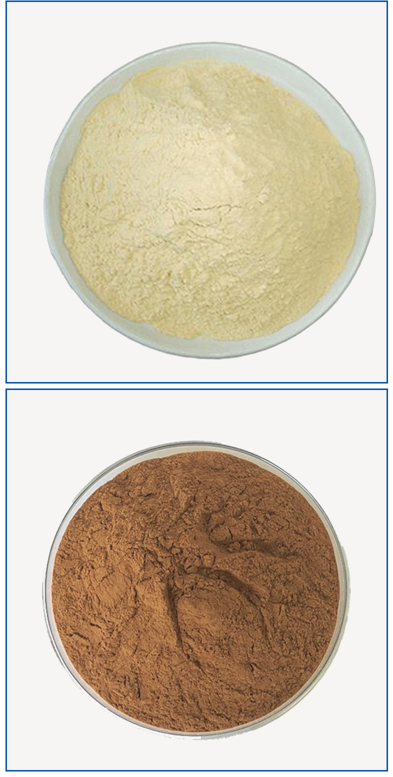 现货供应精磨玛咖粉厂家直销批发供应热卖销售细粉营养补充