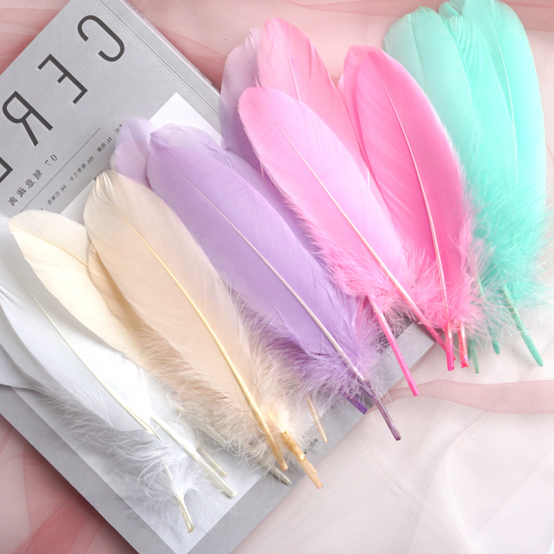 Feather Color Goose Feather Hard Big Floating Dreamcatcher SUNFLOWER Kindergarten Handmade Art Class Material Wings Decoration