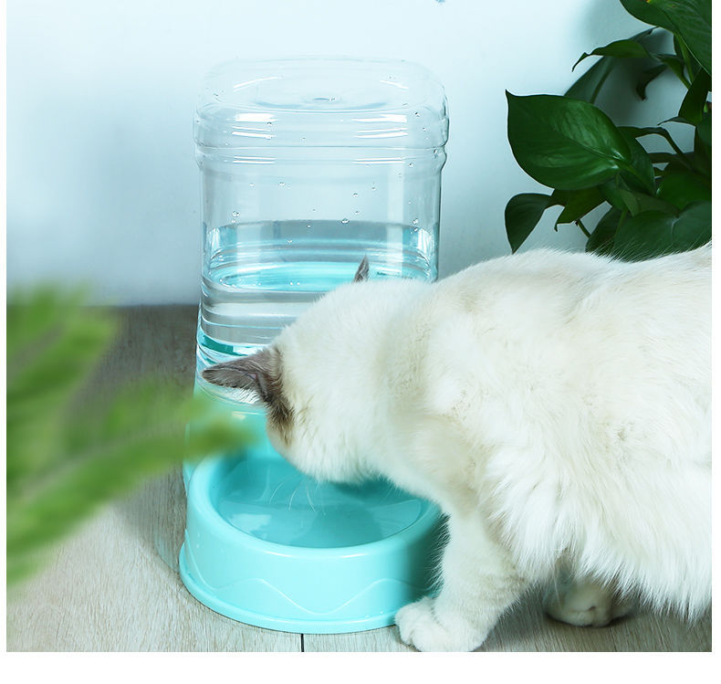 包邮猫咪饮水机水瓶便携式猫咪饮水器自动智能已用猫咪饮水机通用