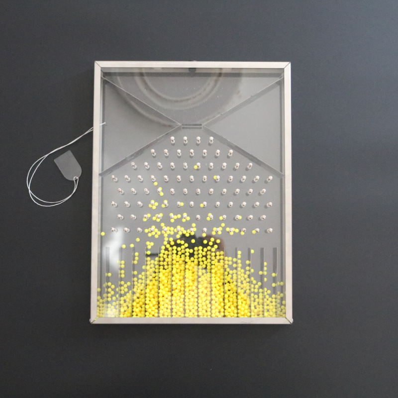 伽尔顿板 统计规律演示器教学模型 数理化教学器材22220道尔顿板