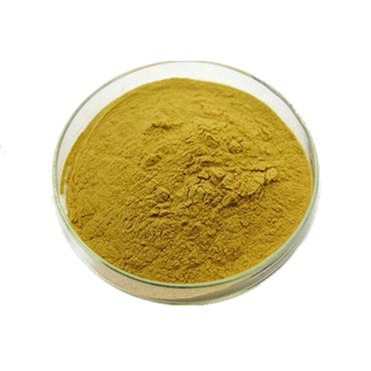 黄连提取物 10:1 黄连粉 盐酸小檗碱 rhizoma coptidis extract