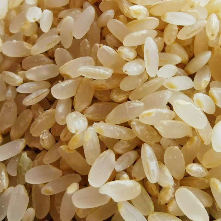 产地货源东北胚芽米2020新米黑龙江产地长粒胚芽江水灌溉厂家直发