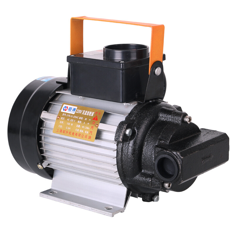 臣源油泵550w220v大流量电动抽油泵柴油煤油手动加油抽油泵吸油泵