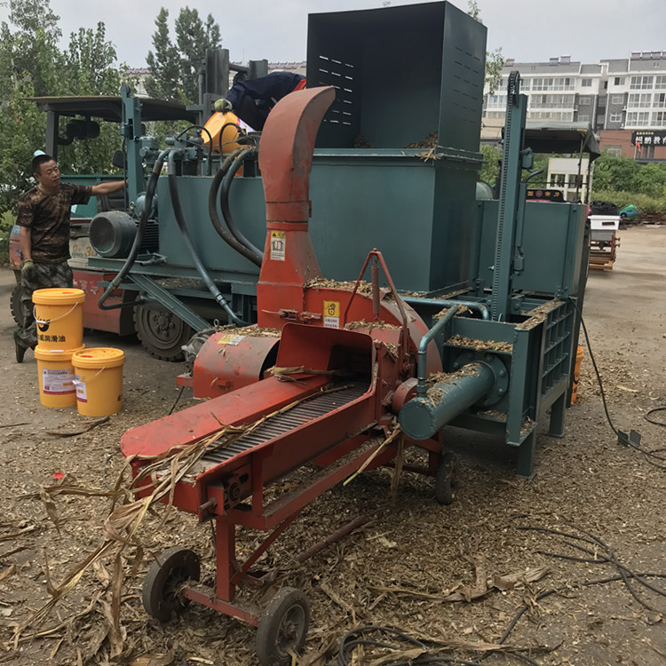 大庆秸秆稻草压块机 易拉罐压块打包机 江苏有机肥牛粪压块机