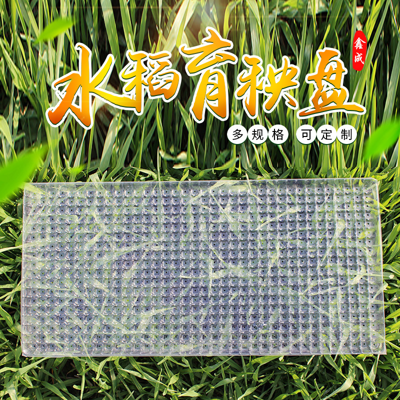 批发供应育秧盘 机插平盘秧盘早稻水稻育苗盘9寸软盘晚稻