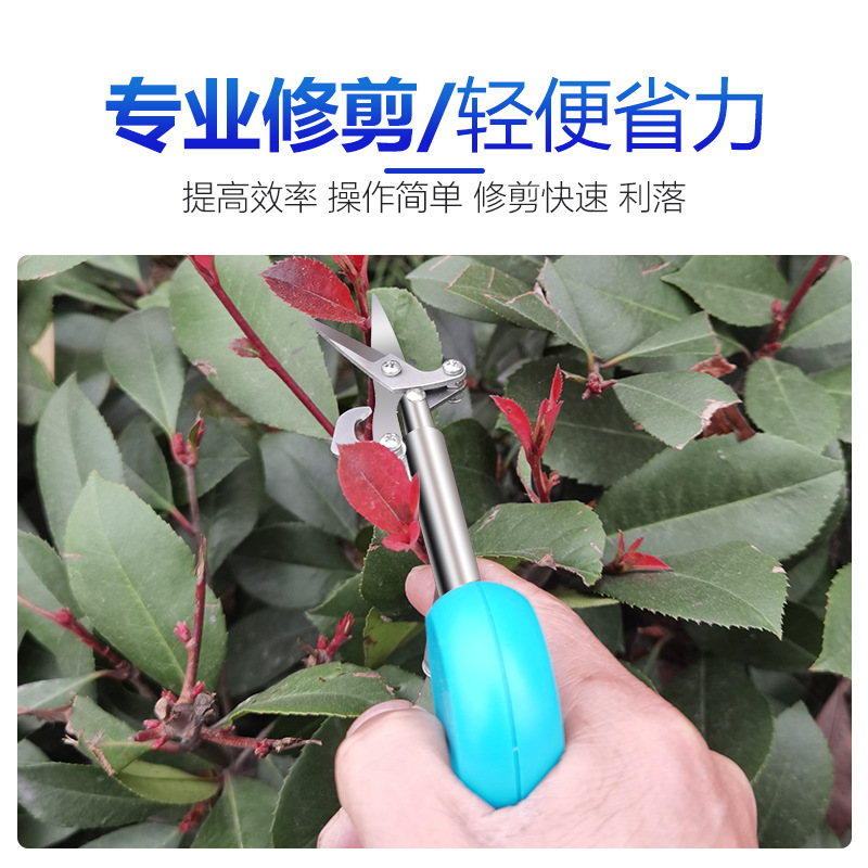 Feng Yida New Pointed Fruit Picker Picking Pepper Medlar Floral Scissors Gardening Tools Pruning Pruning Shear Wholesale