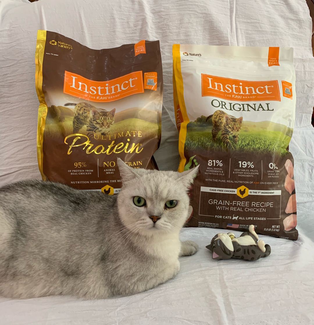 百利猫粮高蛋白生鲜鸡无谷鸡三文鱼10磅11磅猫粮全猫通用