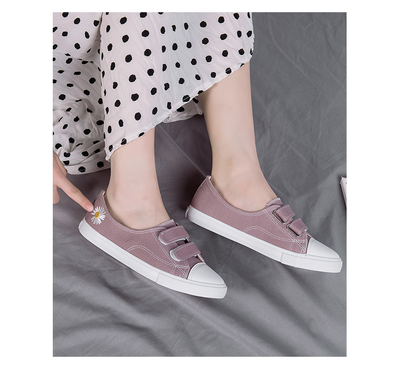 飞耀女鞋2020秋季帆布鞋女百搭小雏菊浅口休闲鞋平底鞋批发