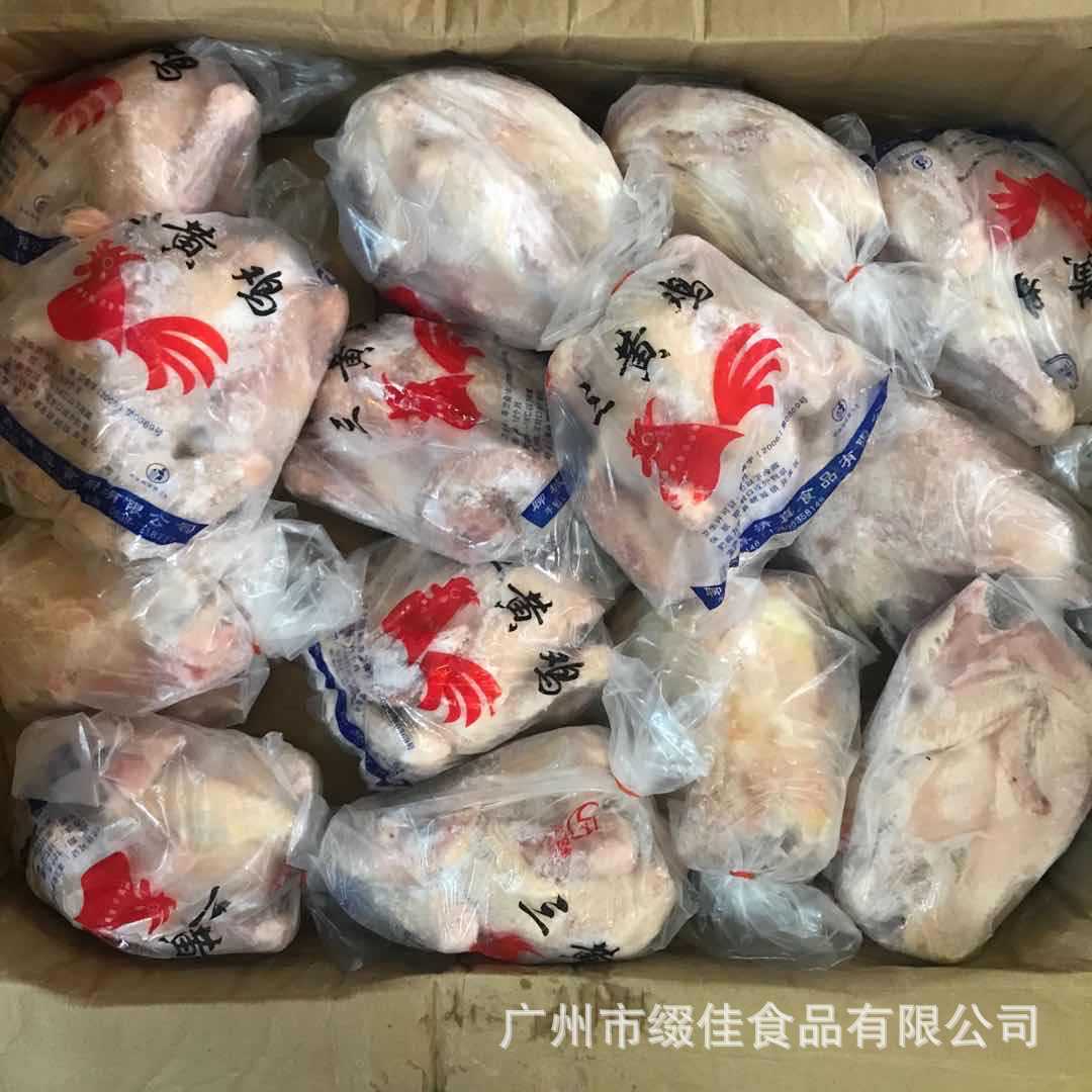 三黄鸡 冷冻 西装鸡 新鲜土鸡 炸春鸡 烤鸡 白条鸡 光鸡 广州批发
