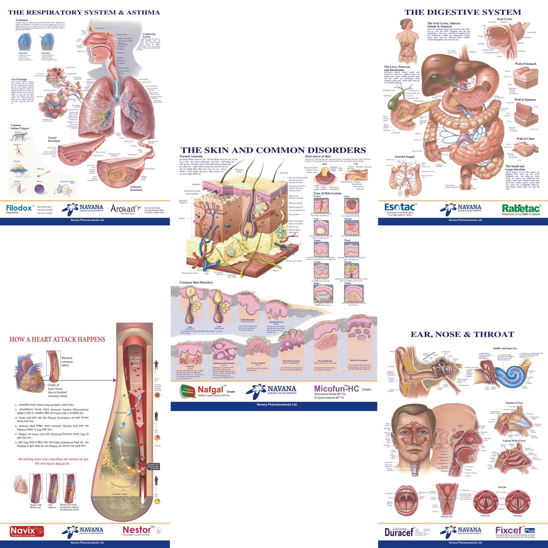 解破图厂家批发蜂窝凝胶坐垫屁垫透气夏季学生冰凉垫汽车蜂巢冰垫办公