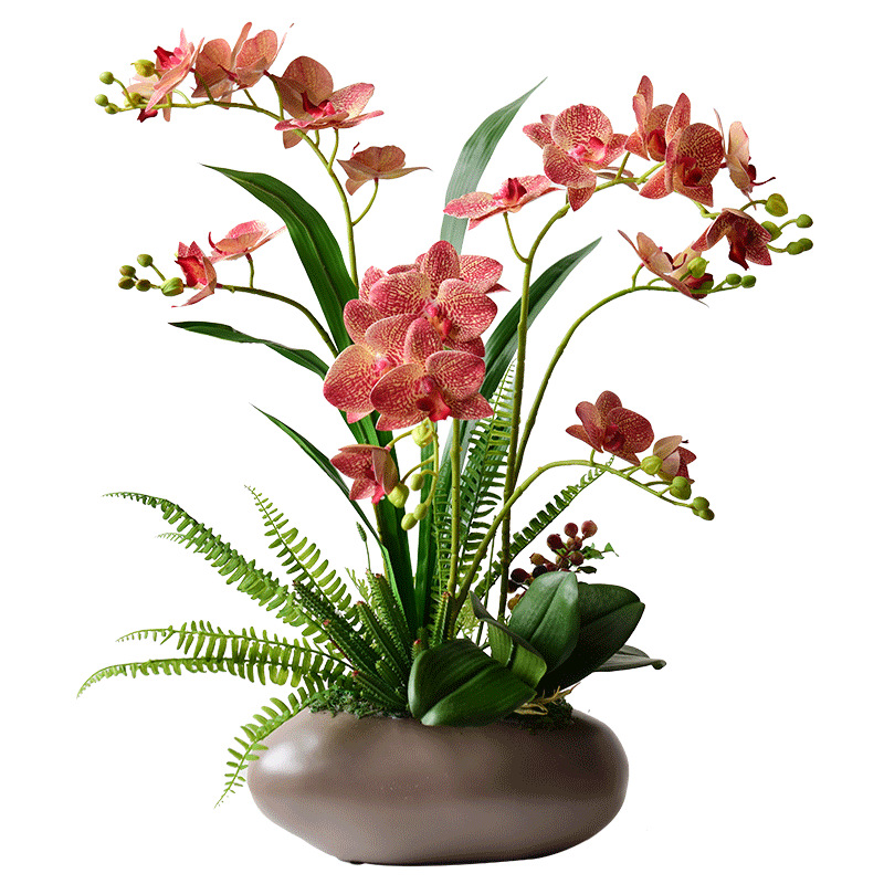 知根 仿真花手感蝴蝶兰盆景盆栽花艺客厅桌面装饰花艺摆件