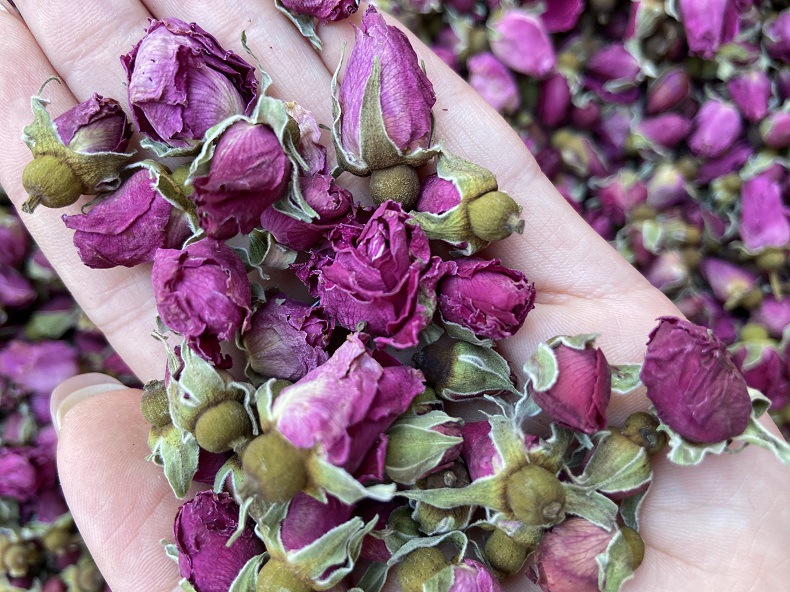 优质兰州苦水玫瑰玫瑰花茶甘肃兰州苦水小玫瑰 现货