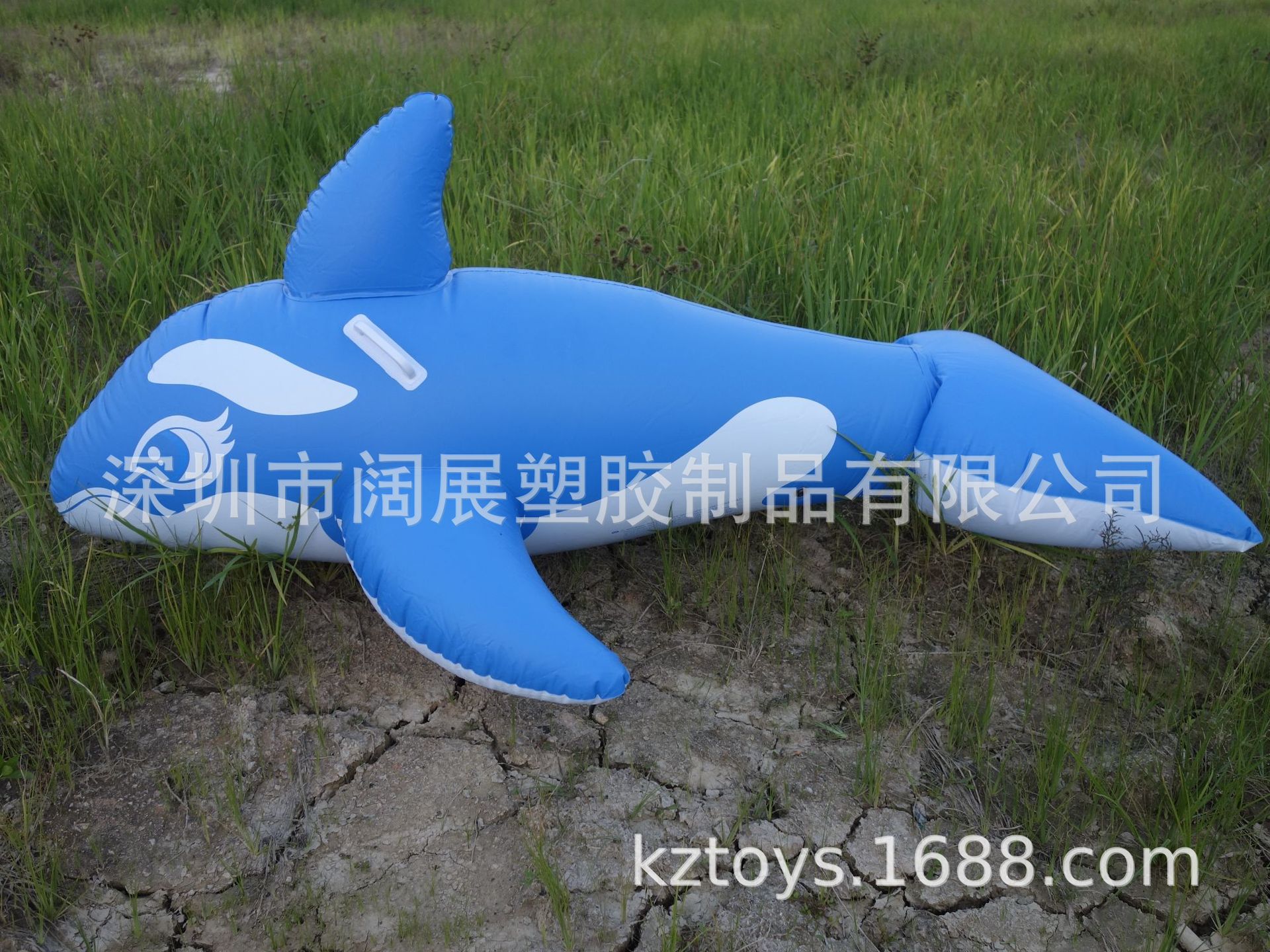 现货水上成人充气蓝色鲸鱼坐骑浮排蓝鲸鱼鲨鱼大黑鲸游泳圈浮床