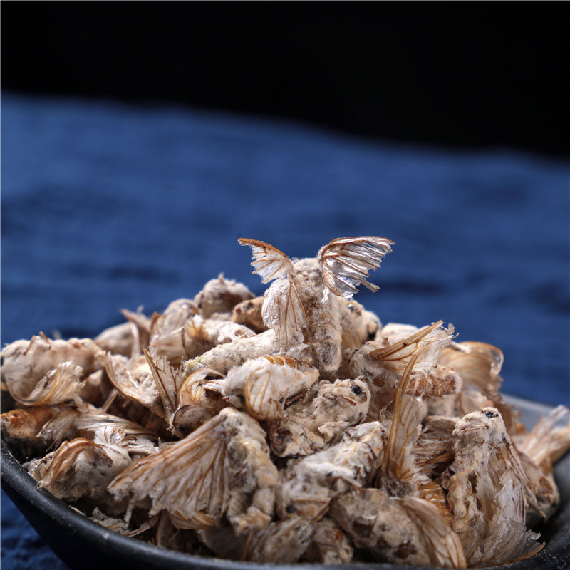 中药材批发 雄蚕蛾 原蚕蛾优质雄蚕蛾 晚蚕蛾 承接订单 量大从优