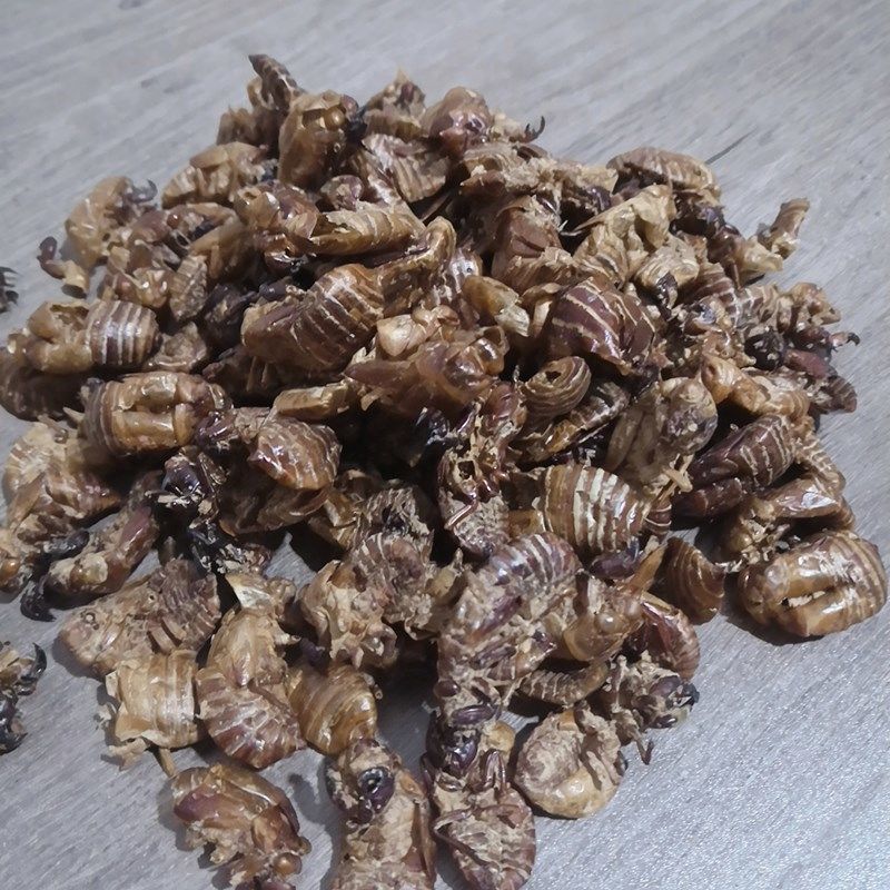 蝉蜕100g蝉脱金蝉衣金蝉壳蝉皮蝉壳蝉衣 知了皮知了壳