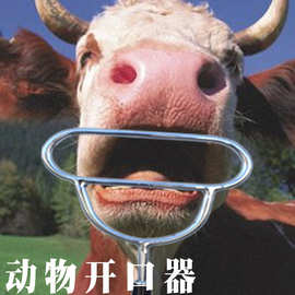 牛用开口器开嘴钳 金属猪用开口器喂药工具 兽用灌药洗胃器械