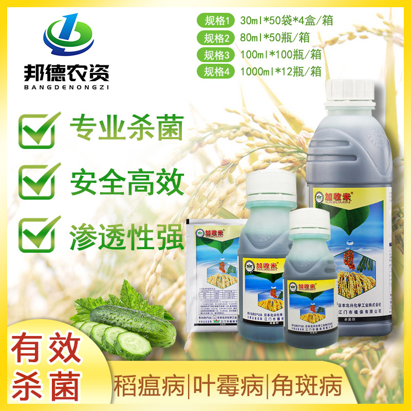 日本北兴 2%加收米春雷霉素番茄叶霉病水稻稻瘟病细菌杀菌剂30ml