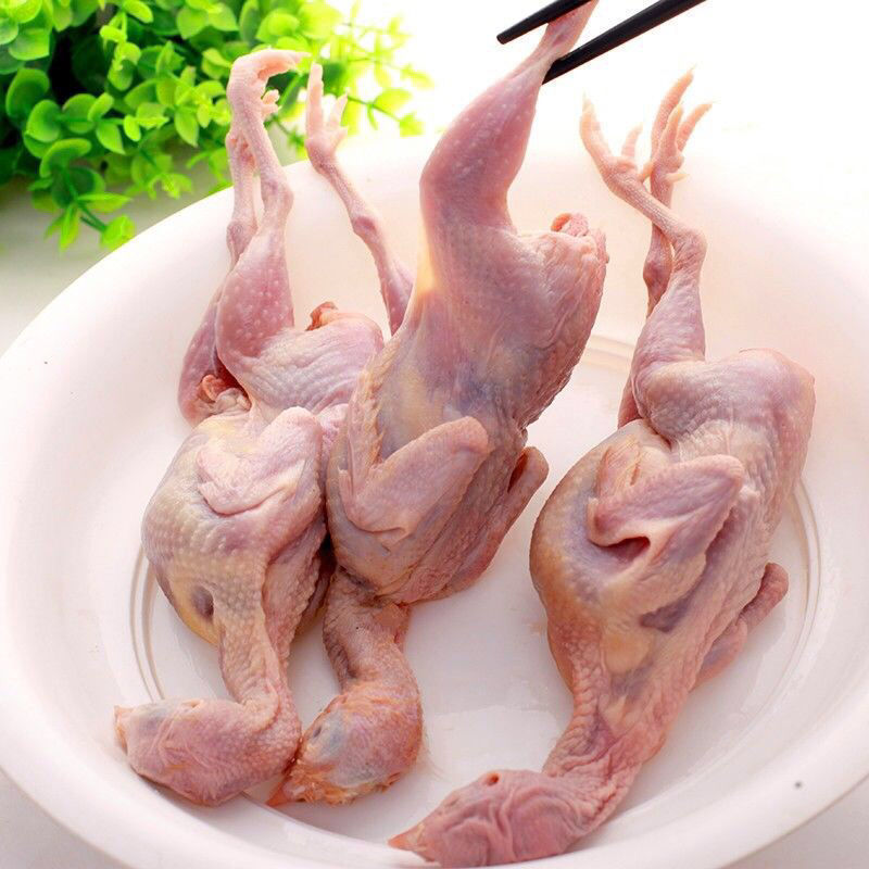 10只包邮现杀放血新鲜母鹌鹑去内脏活体现杀白条鹌鹑肉烧烤炖汤
