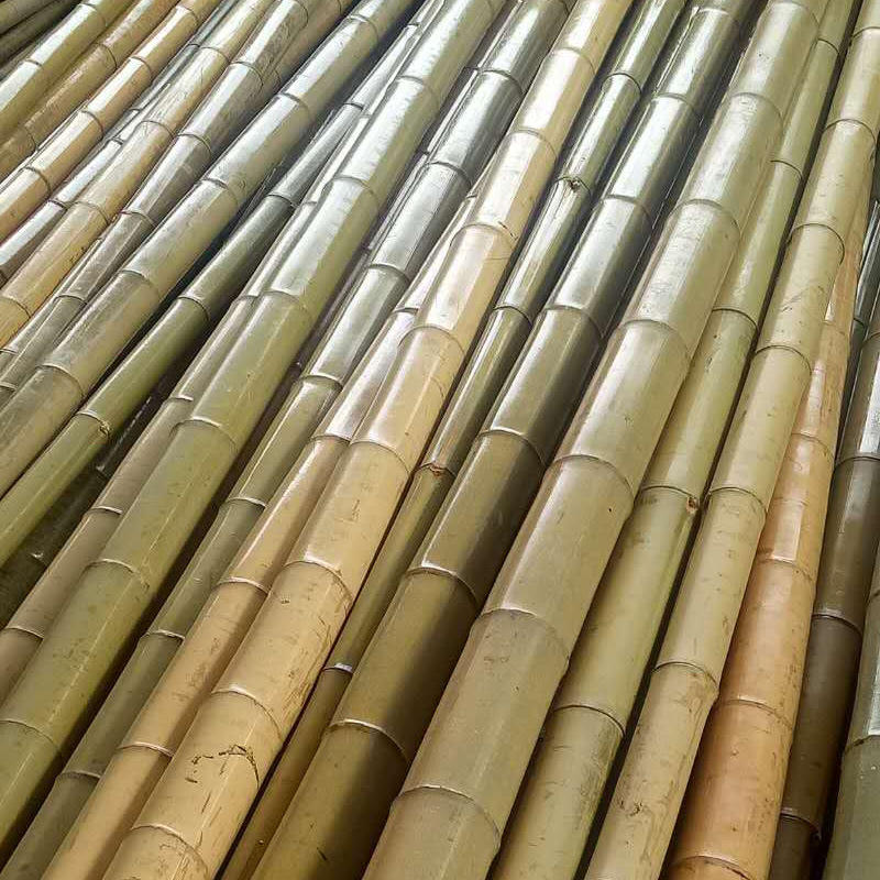 装修白竹竿大棚竹杆竹栅栏竹篱笆干竹子楠竹毛竹竹干白竹