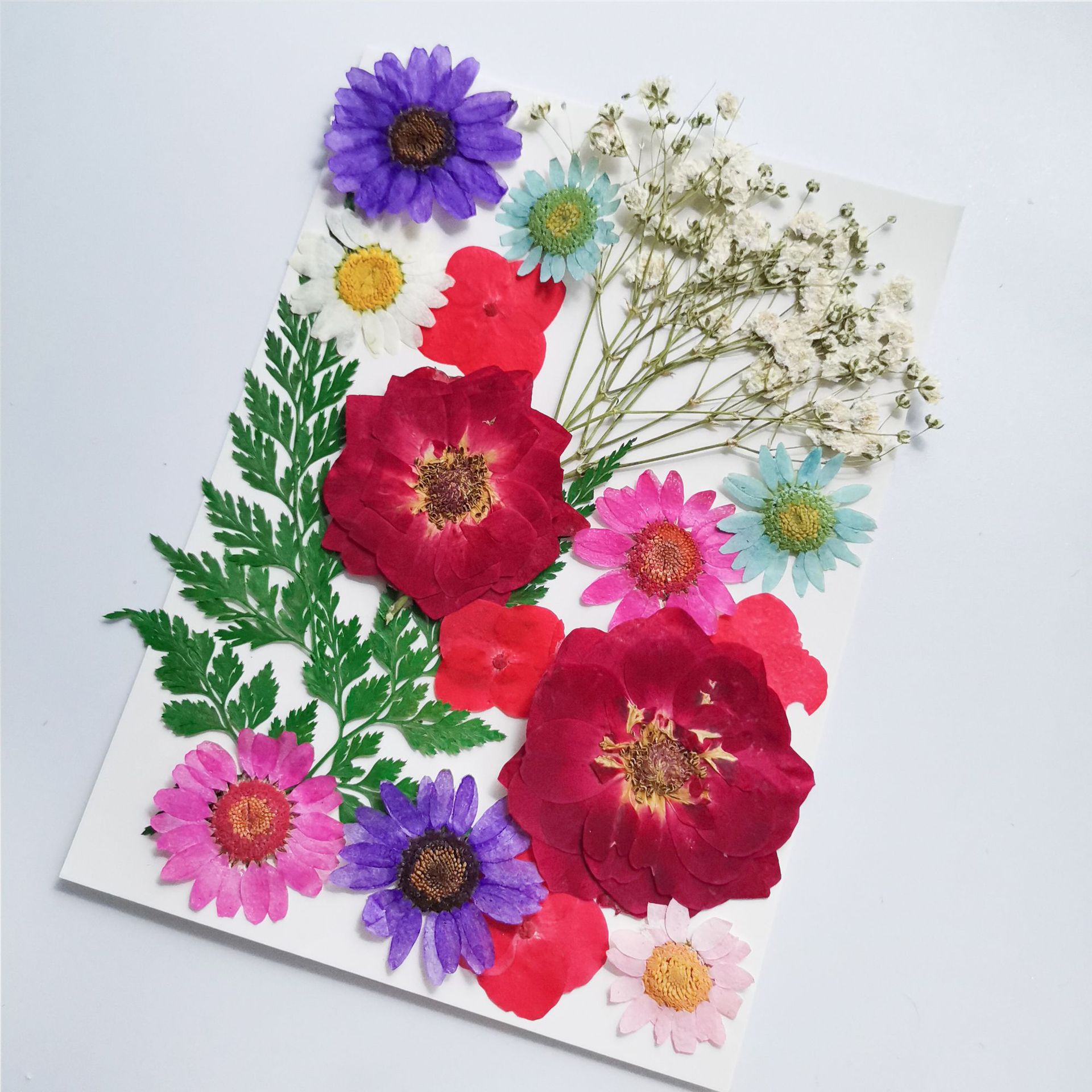 干花压花材料包脸贴花晶菊手机壳滴胶眼角贴花瓣妆新娘妆少女写真