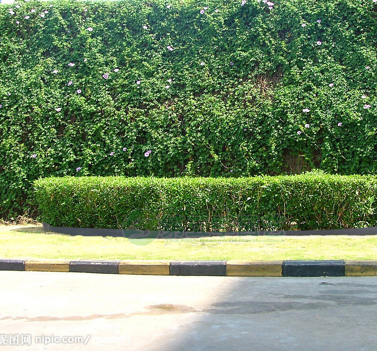 黑色平板pe草石隔离带用于隔根挡水板10米一卷