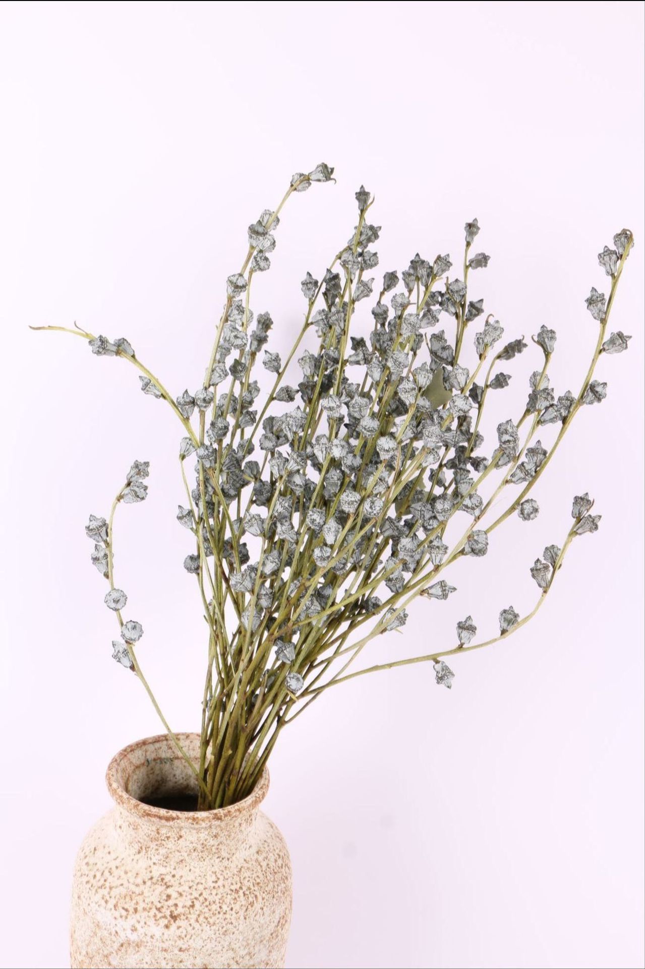 尤加利果蓝桉果插花花束现货diy日式复古森林系植物干花拍照道具