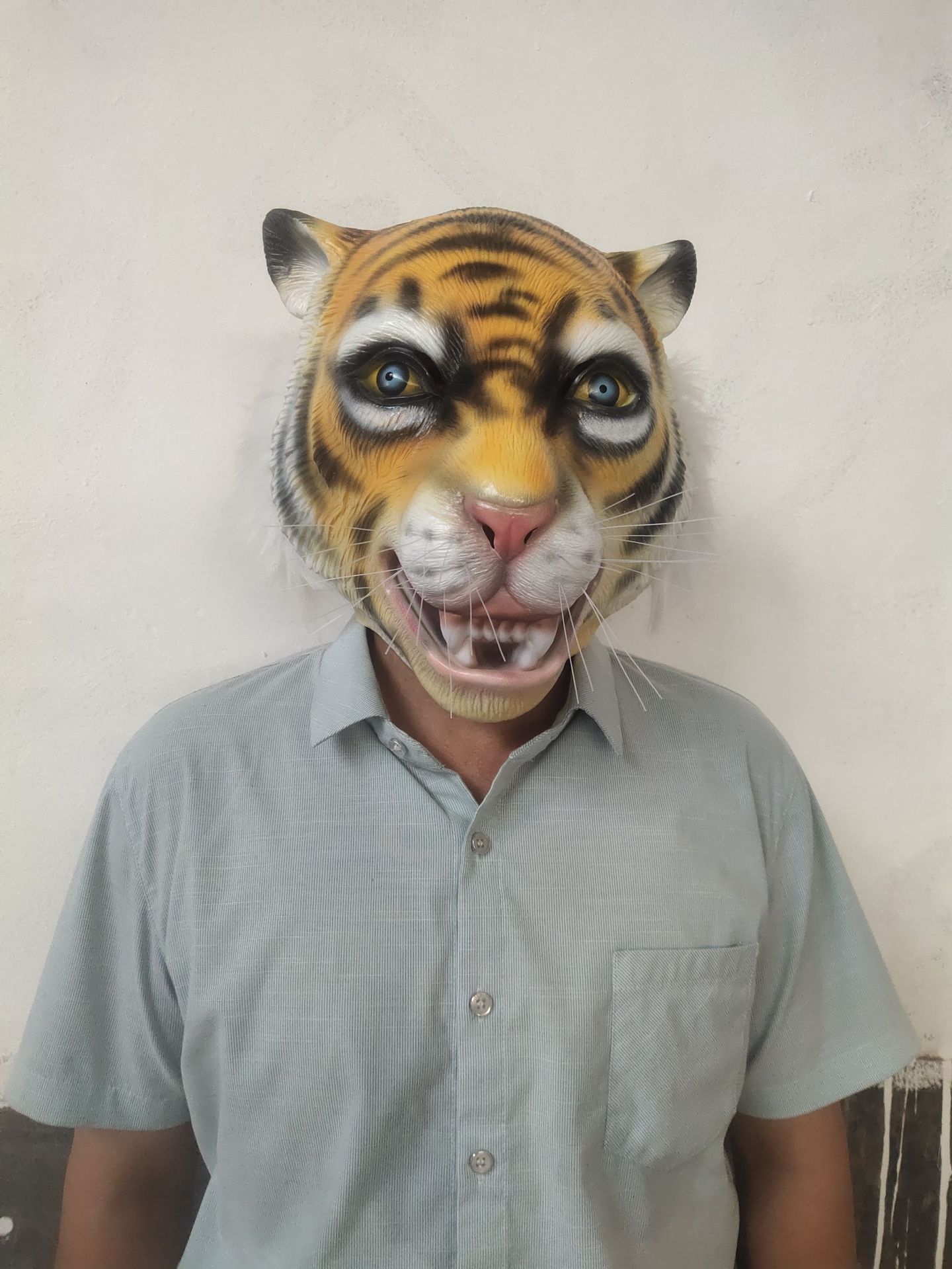 新款动物头套搞笑道具万圣节狂欢节老虎面具乳胶假面舞会面具派对