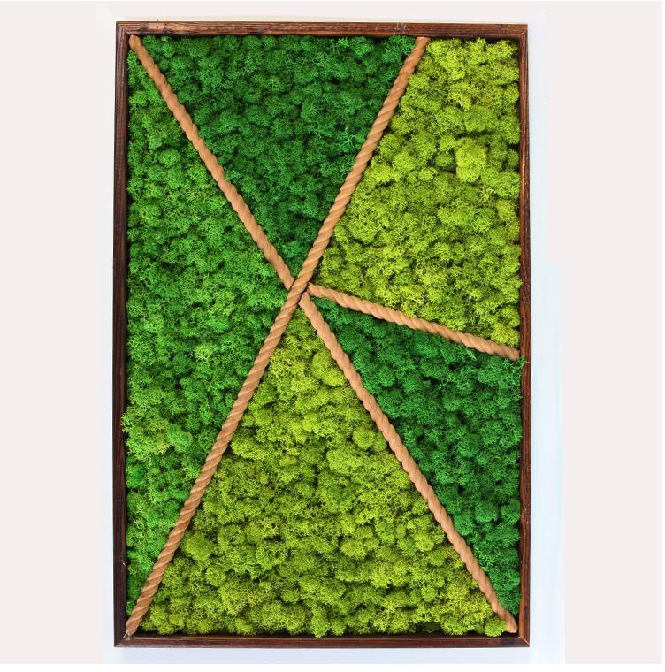 植物相框画 工艺画摆件相框画立体画植墙永生苔藓花画