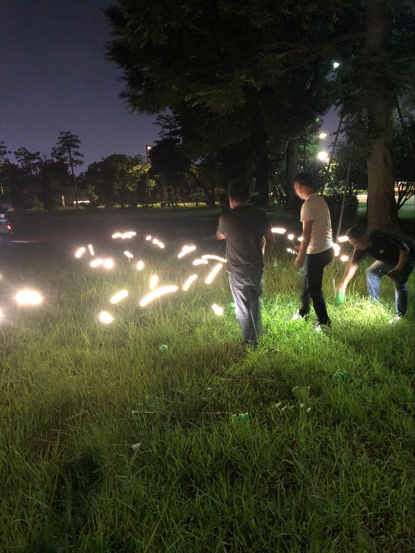 led动态萤火虫 仿生萤火虫灯户外草坪装饰景观灯网红爆款萤火虫灯