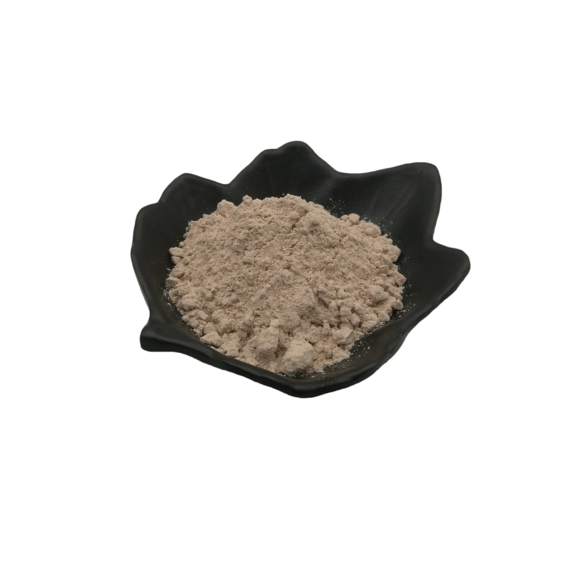 洋车前子壳粉98% 圆苞车前子壳粉 洋车前子纤维 1kg起售