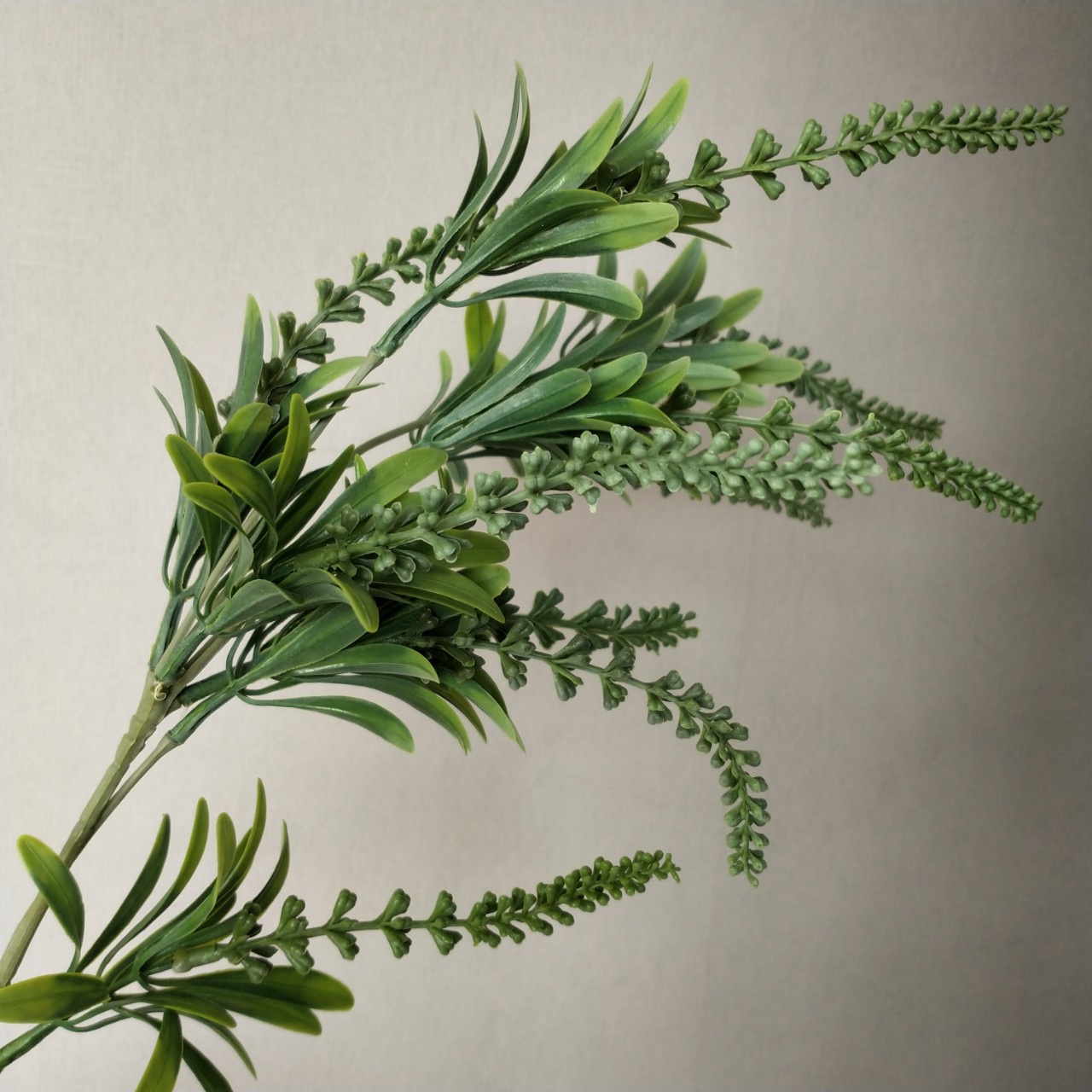 仿真植物叶材罗汉草带果 北欧家居装饰 配花 婚庆摄影仿真花草