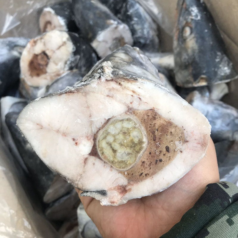 四海水产鲜冻鲅鱼头个大肉肥肉质鲜美鲅鱼头美味健康马鲛鱼头海鱼