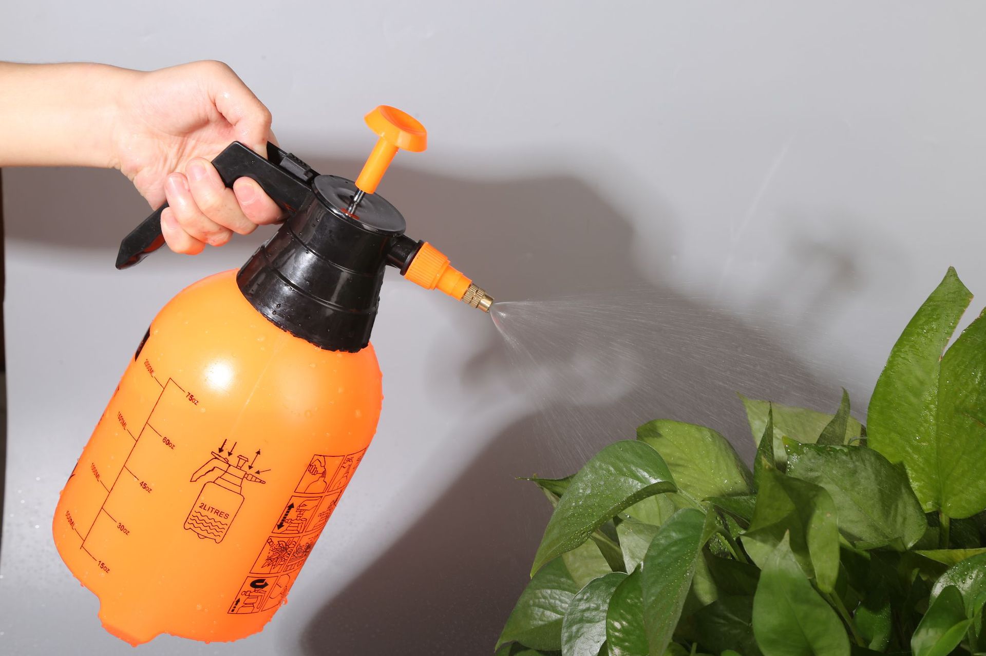 2l手持式气压式喷雾器喷壶洒水壶浇花壶浇花瓶园艺消毒工具