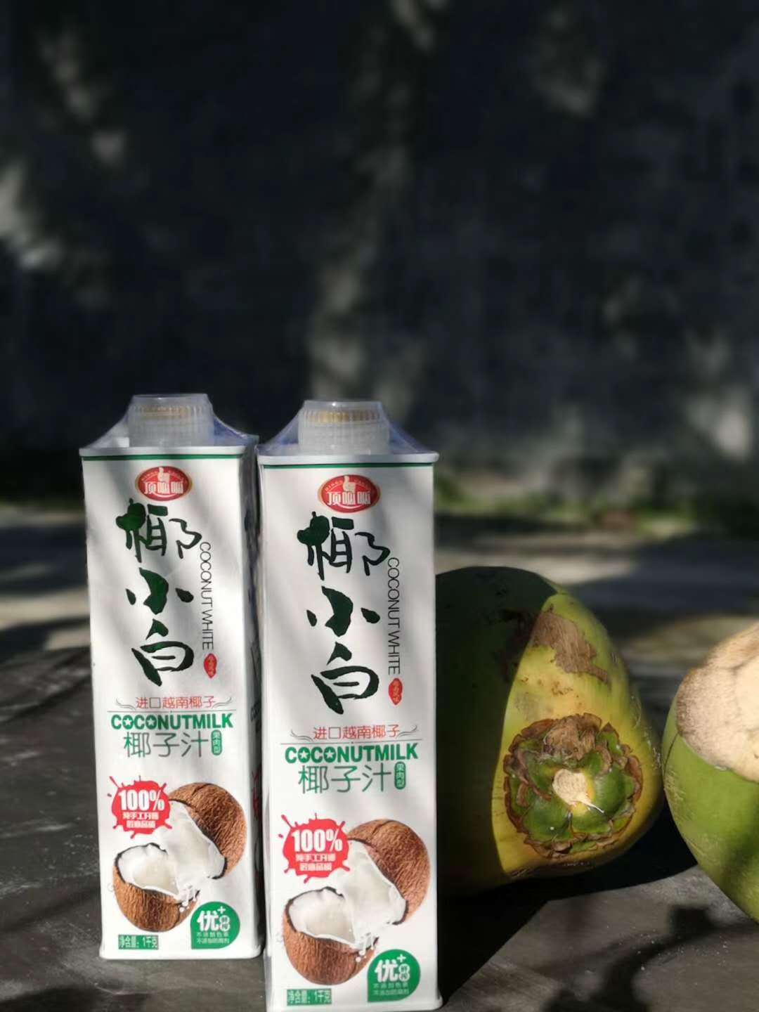 椰小白椰子汁饮料1l8瓶装椰子奶oem贴牌加工