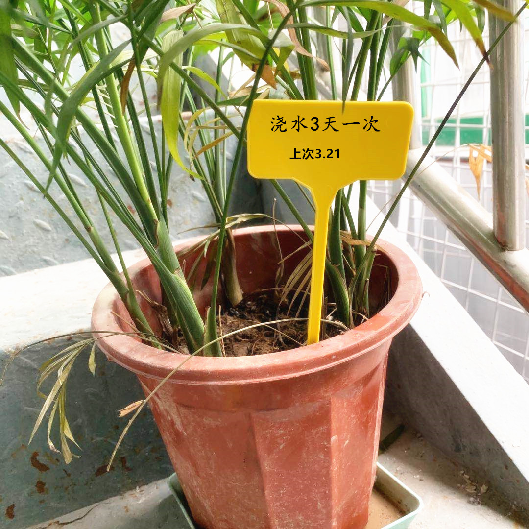 可定制塑料园艺t字标签 29cm园艺标签植物插牌 塑料植物标签