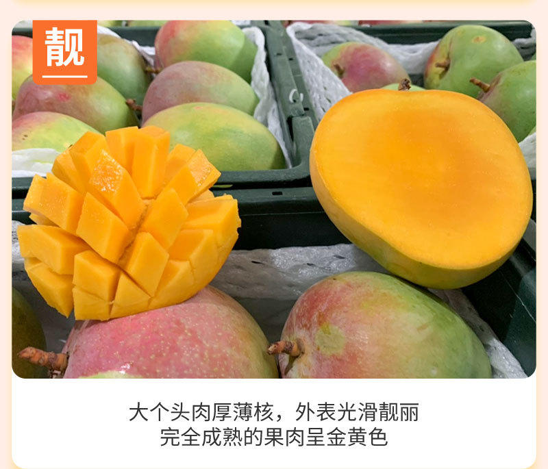 新鲜水果越南澳芒5斤10斤套袋黄皮芒果热带鲜果非贵妃